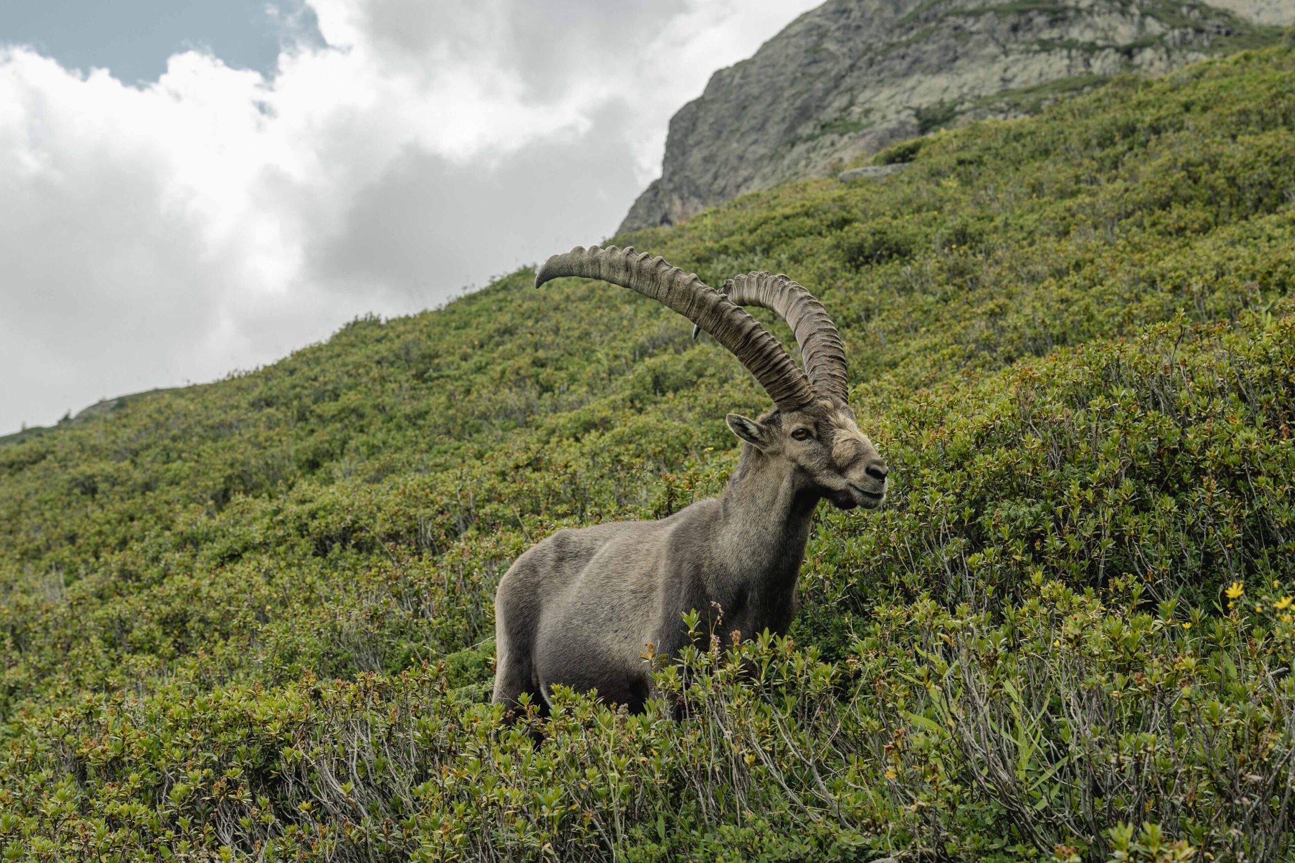 webversions_tmb_petecox_2025_adventurebase-459-scaled