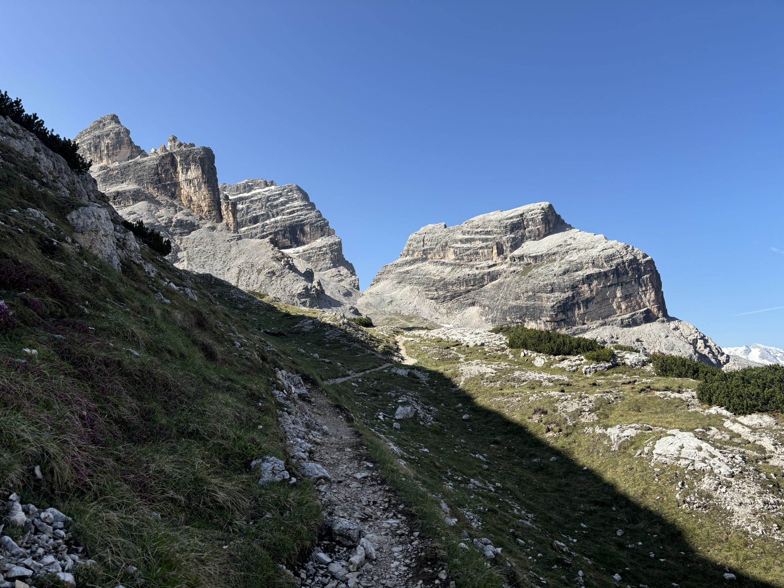 IMG_6845-2-scaled
