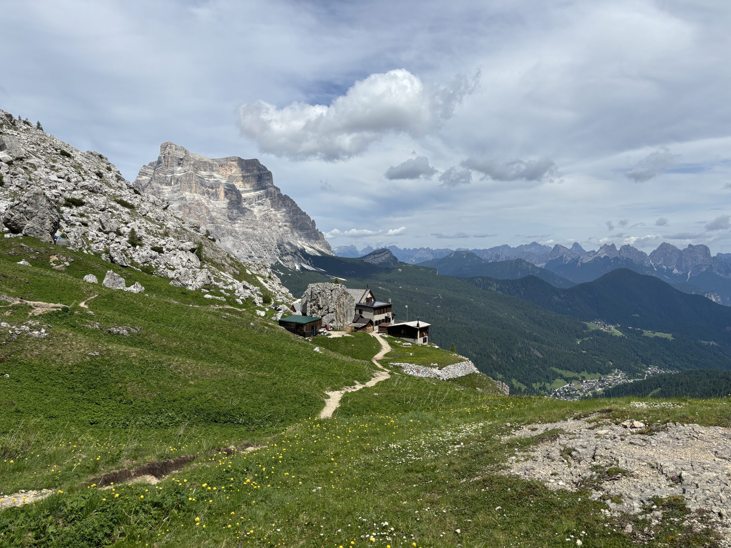 IMG_7139-scaled