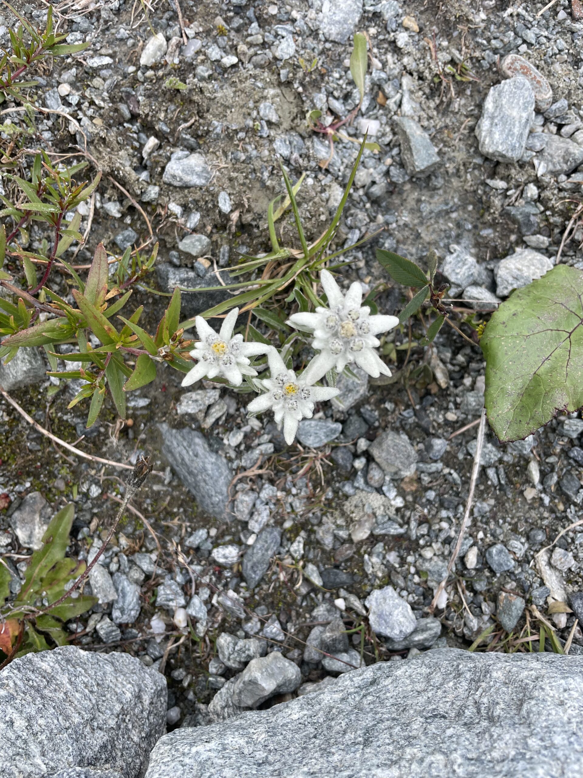 IMG_1958-3-scaled