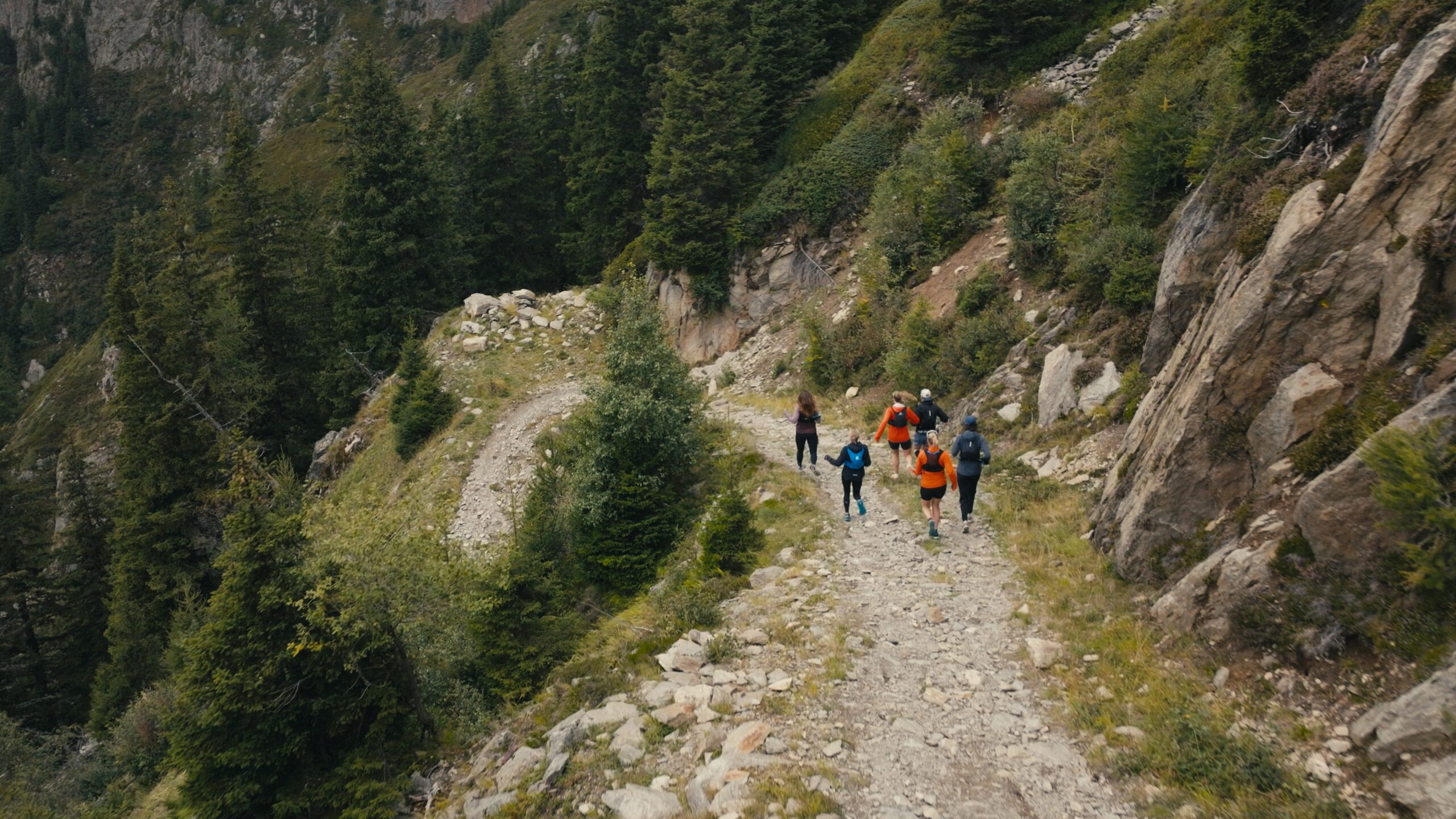 Still-2025-10-10-164412_1.14.1-scaled