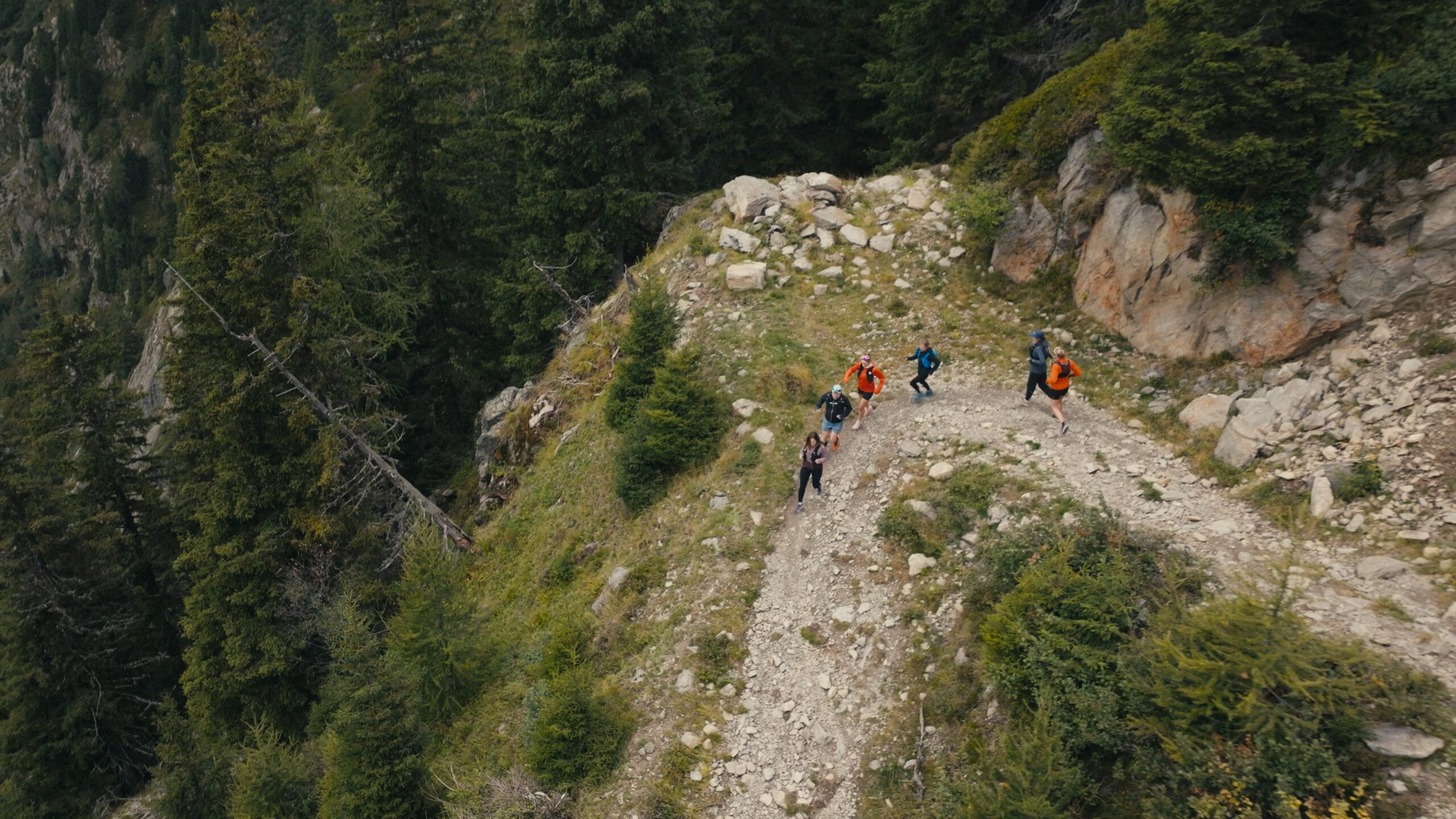 Still-2025-10-10-164412_1.14.3-scaled