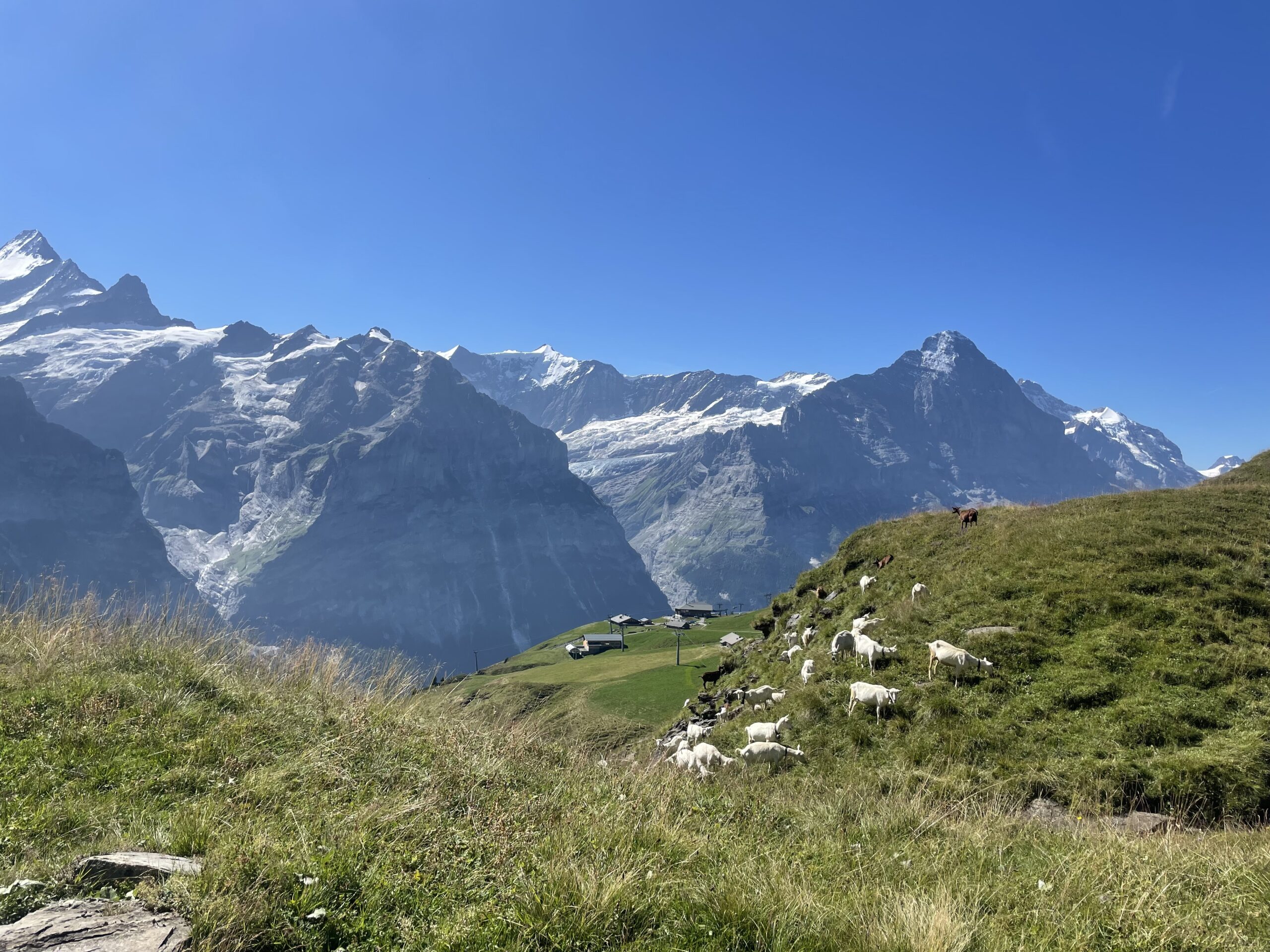 IMG_2340-2-scaled