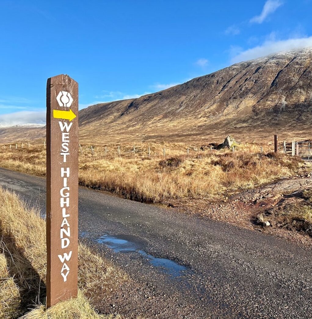 IMG_3131_jpg-e1762946616179