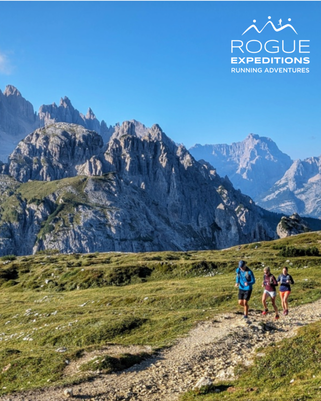 rogue-expeditions